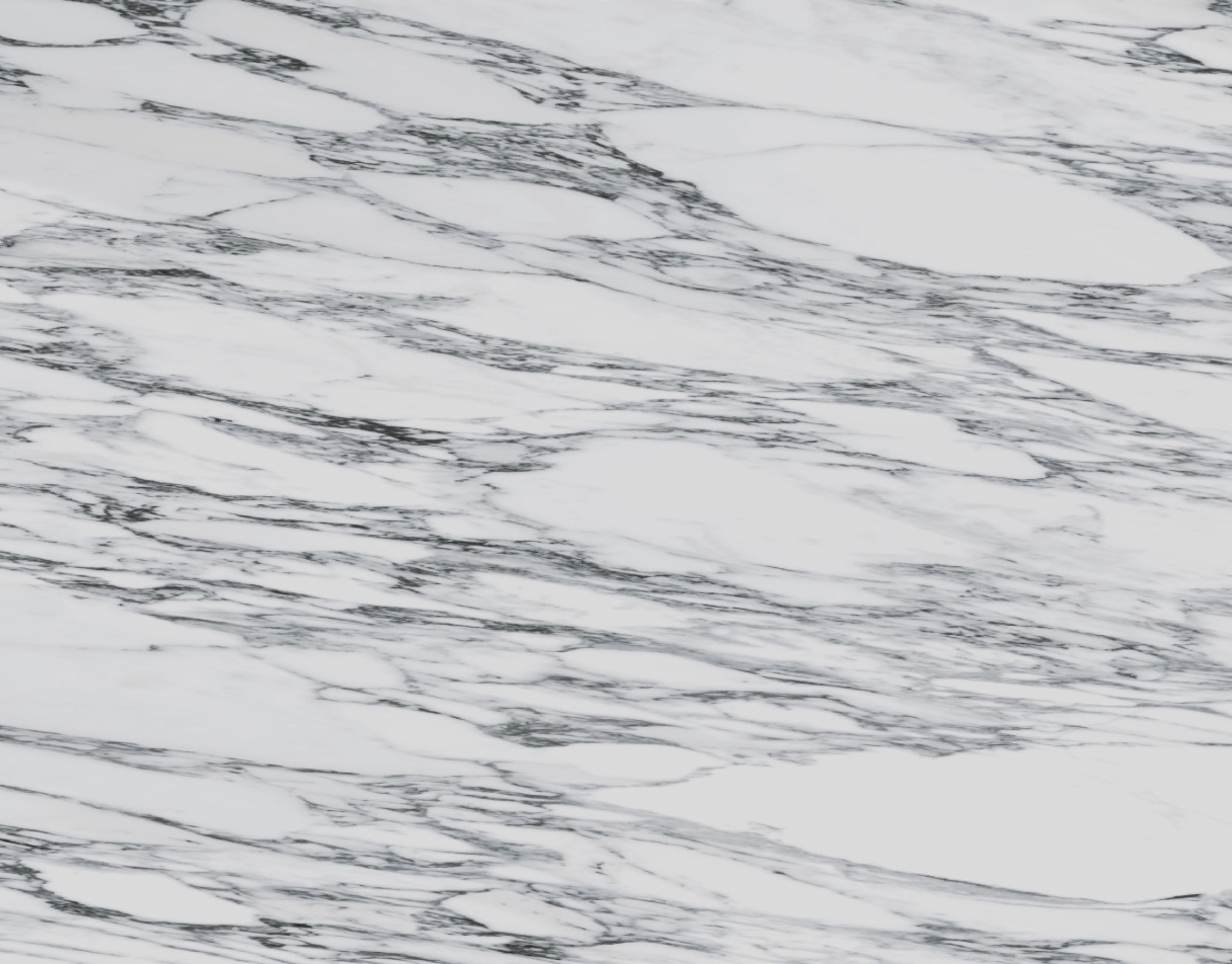 Arabescatto White Sintered